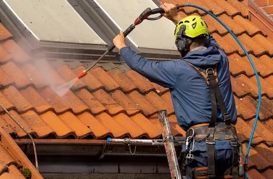 Démoussage et hydrofuge de toiture à Génat